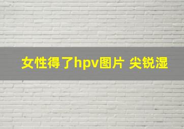 女性得了hpv图片 尖锐湿